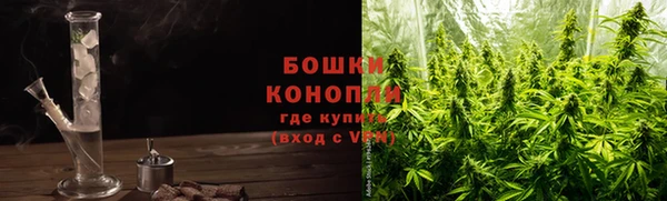 спайс Бородино