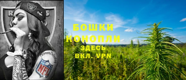 эйфоретик Богородицк