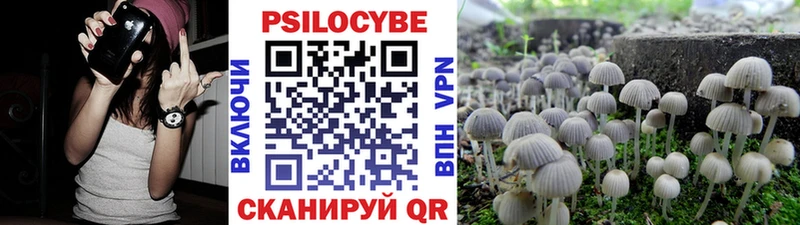где можно купить   Дмитриев  Псилоцибиновые грибы мухоморы 